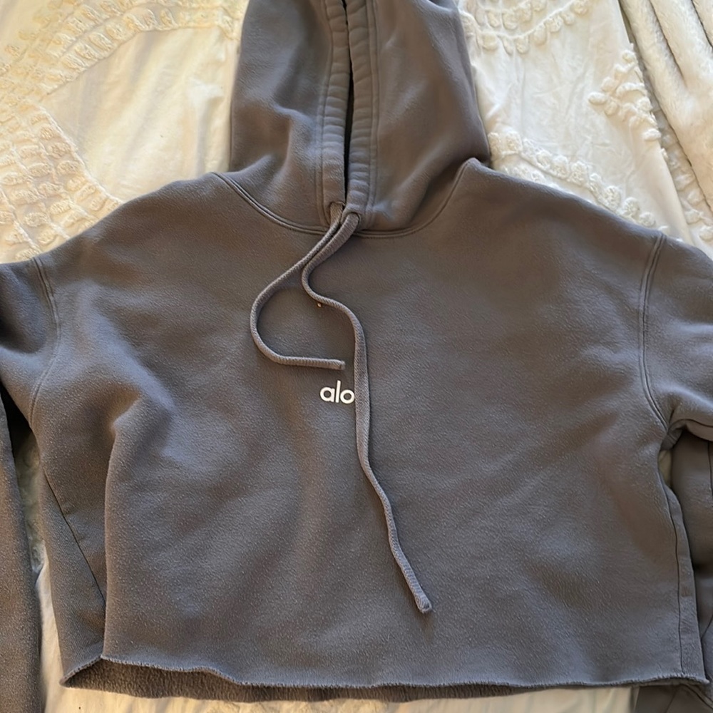 Alo Yoga Cropped Sweatshirt